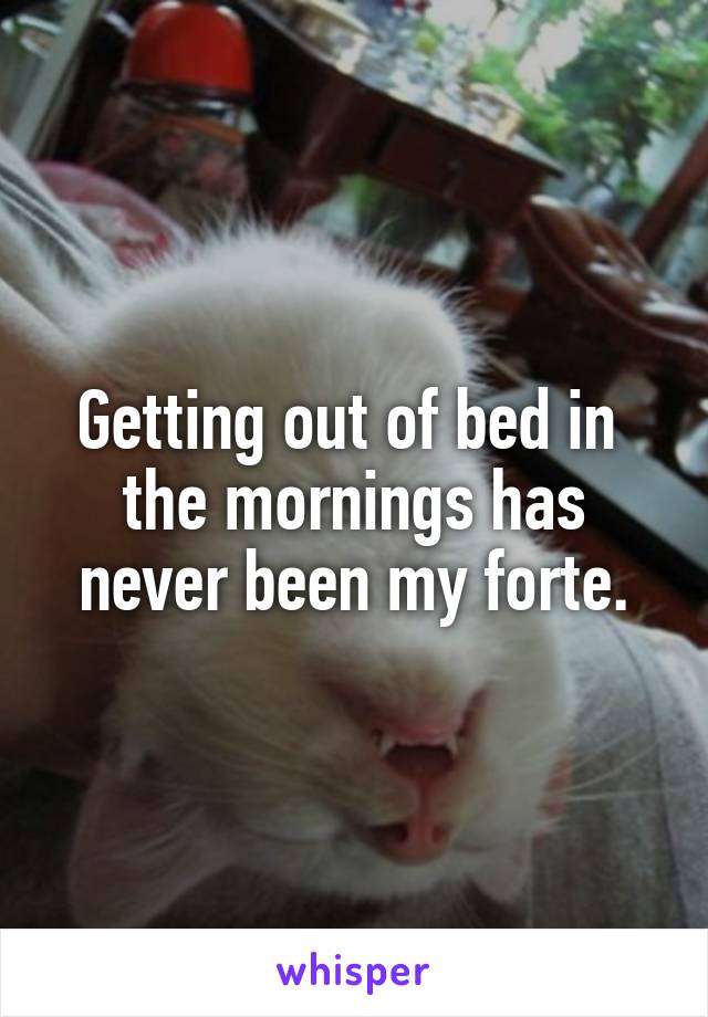 Getting out of bed in  the mornings has never been my forte.