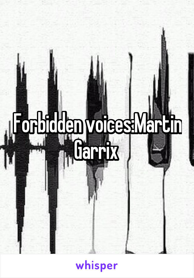 Forbidden voices:Martin Garrix 