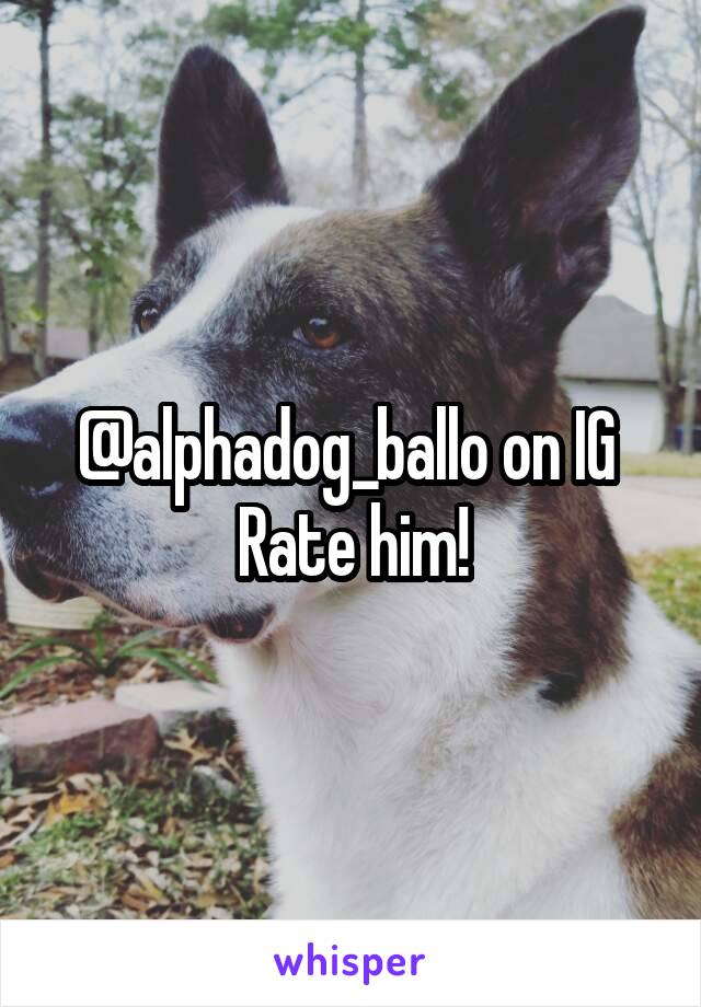 @alphadog_ballo on IG 
Rate him!