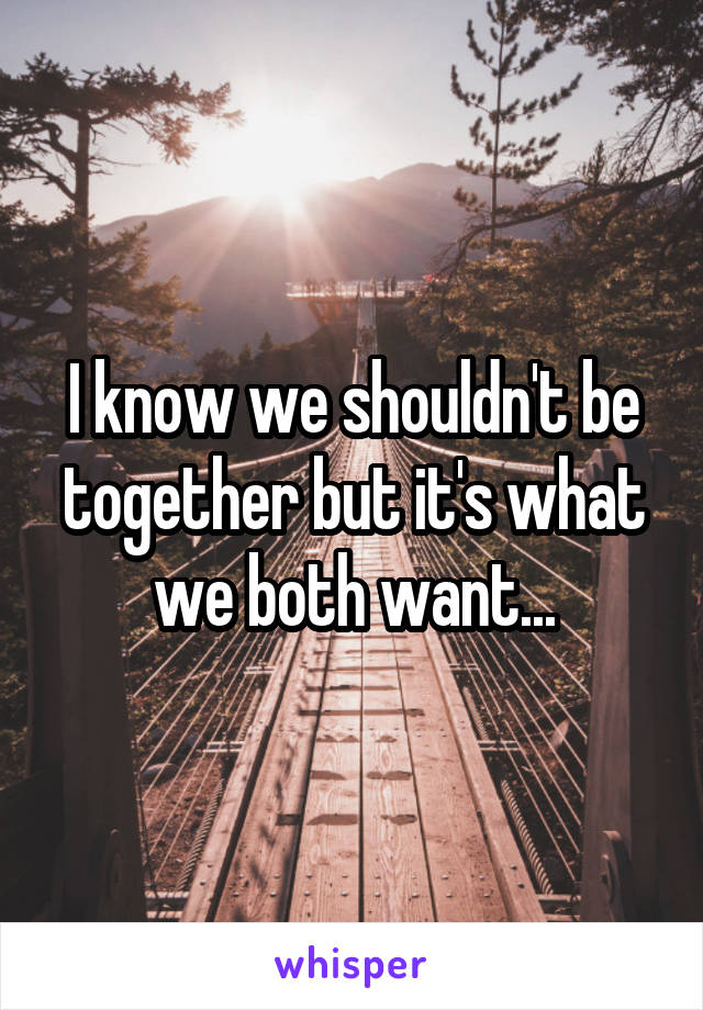 I know we shouldn't be together but it's what we both want...