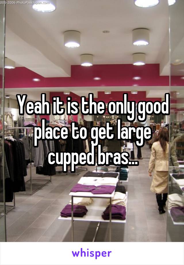 Yeah it is the only good place to get large cupped bras...