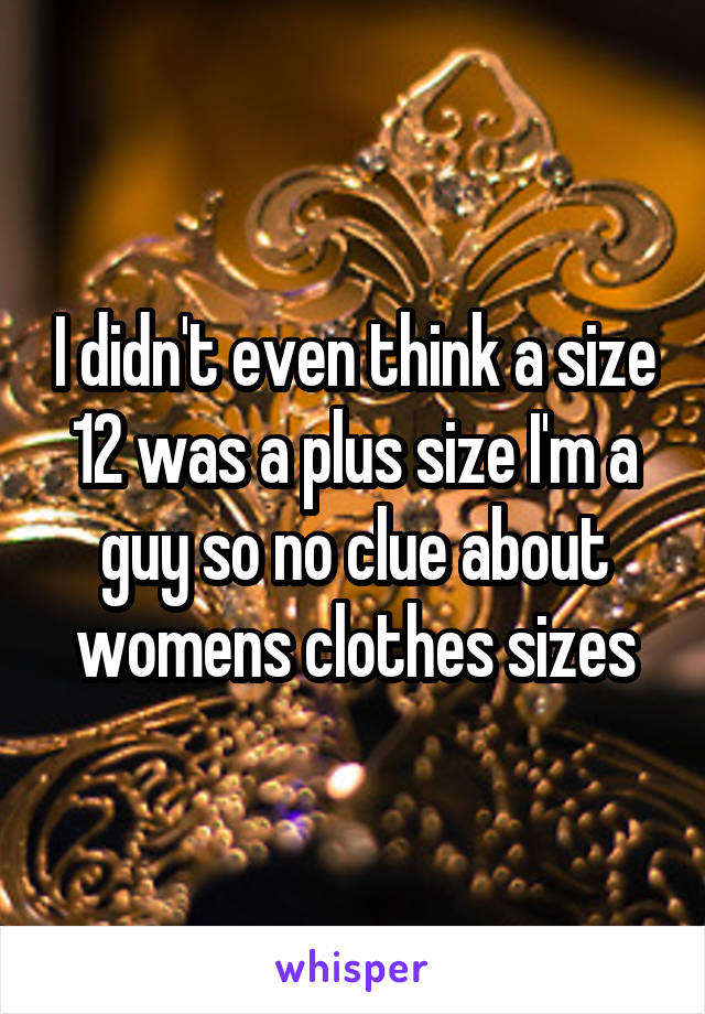 I didn't even think a size 12 was a plus size I'm a guy so no clue about womens clothes sizes