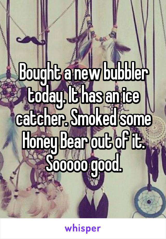 Bought a new bubbler today. It has an ice catcher. Smoked some Honey Bear out of it. Sooooo good.