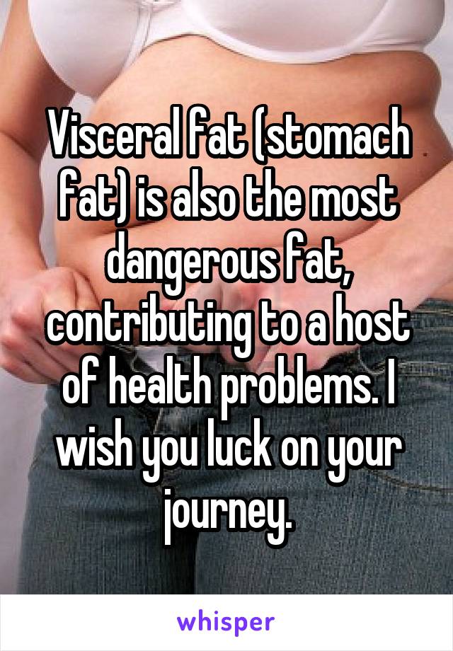 Visceral fat (stomach fat) is also the most dangerous fat, contributing to a host of health problems. I wish you luck on your journey.