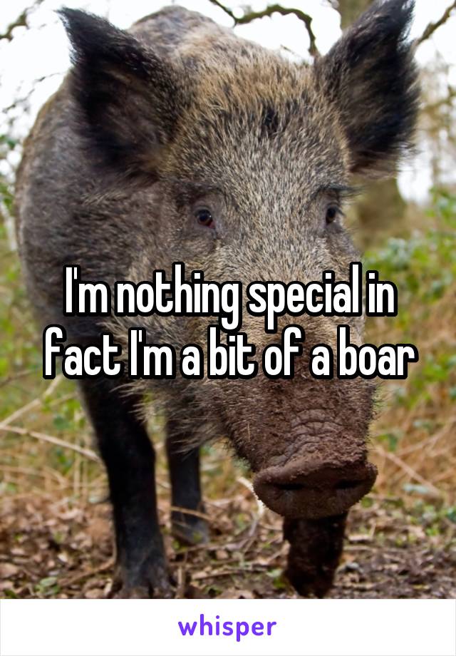 I'm nothing special in fact I'm a bit of a boar