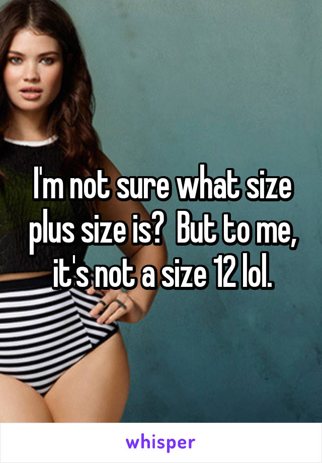 I'm not sure what size plus size is?  But to me, it's not a size 12 lol.