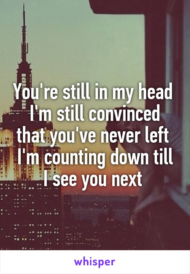 You're still in my head 
I'm still convinced that you've never left 
I'm counting down till I see you next 