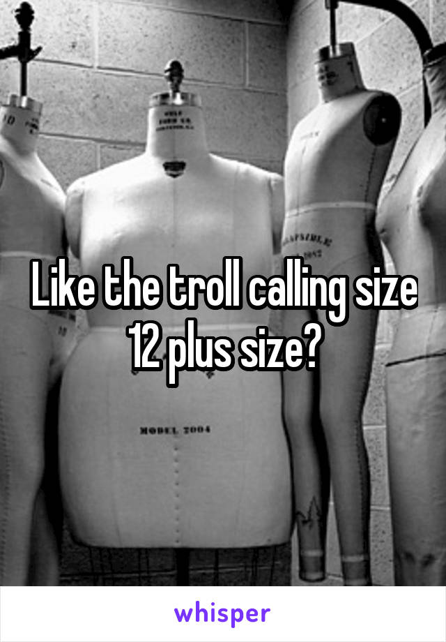 Like the troll calling size 12 plus size?