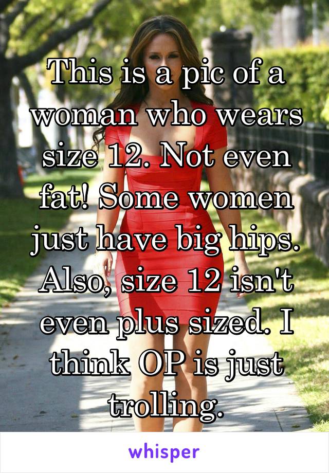 This is a pic of a woman who wears size 12. Not even fat! Some women just have big hips. Also, size 12 isn't even plus sized. I think OP is just trolling.