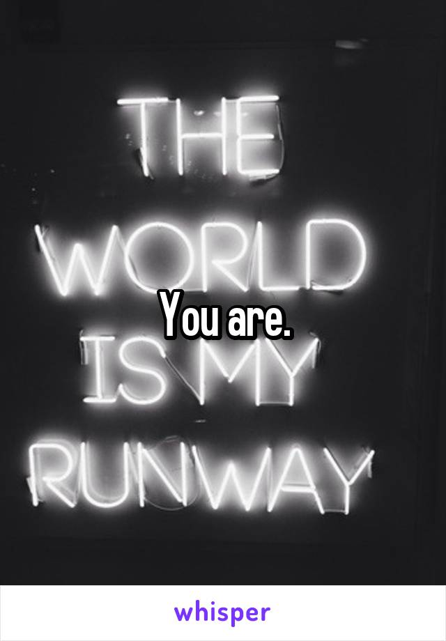 You are.