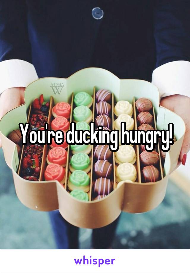 You're ducking hungry!