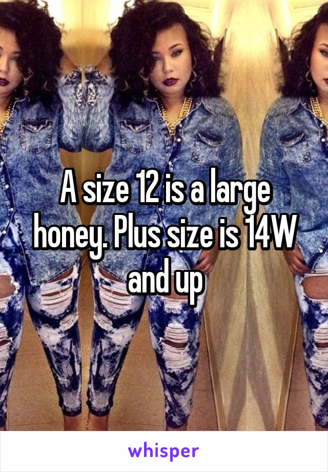 A size 12 is a large honey. Plus size is 14W and up