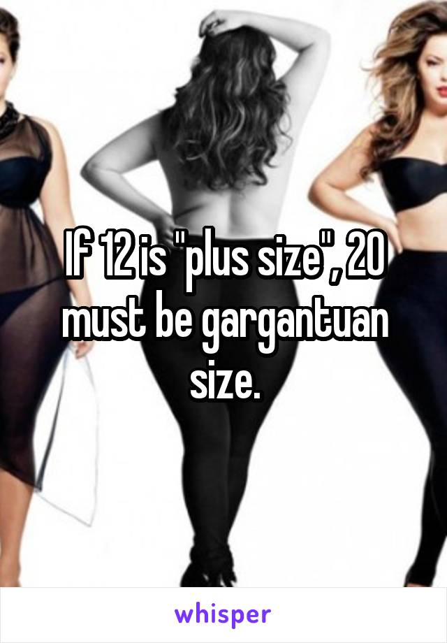 If 12 is "plus size", 20 must be gargantuan size.