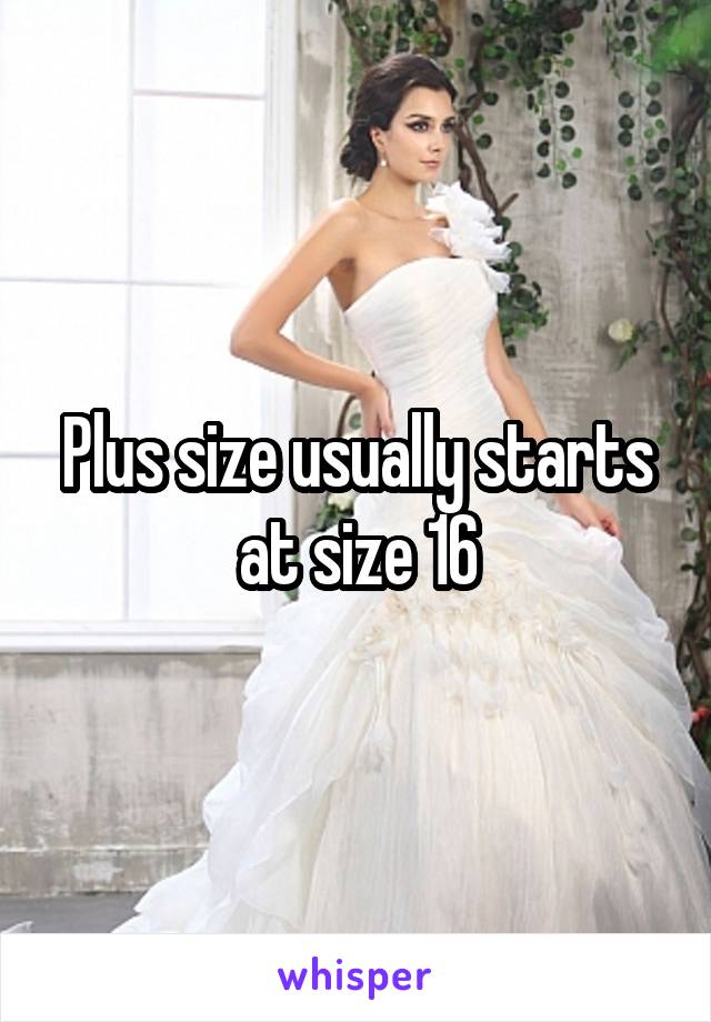 Plus size usually starts at size 16