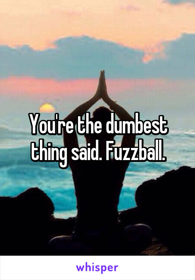 You're the dumbest thing said. Fuzzball.