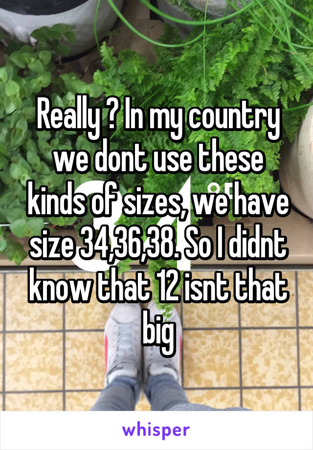 Really ? In my country we dont use these kinds of sizes, we have size 34,36,38. So I didnt know that 12 isnt that big