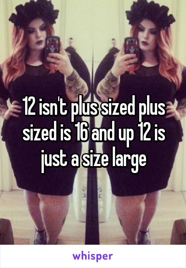 12 isn't plus sized plus sized is 16 and up 12 is just a size large