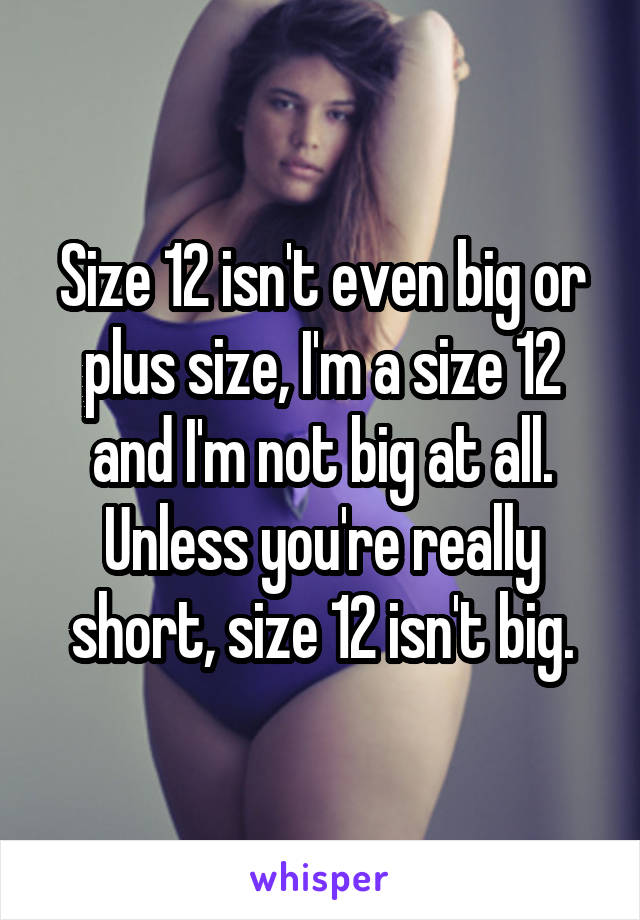 Size 12 isn't even big or plus size, I'm a size 12 and I'm not big at all. Unless you're really short, size 12 isn't big.