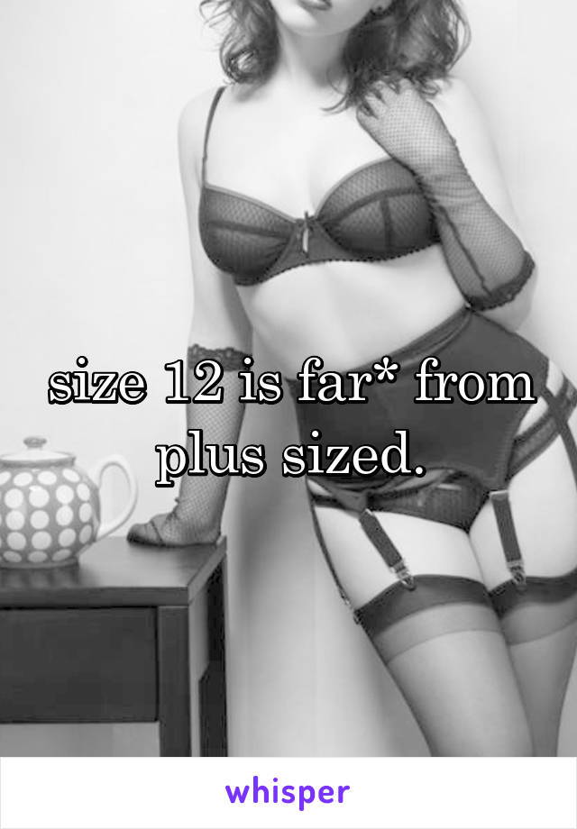 size 12 is far* from plus sized.