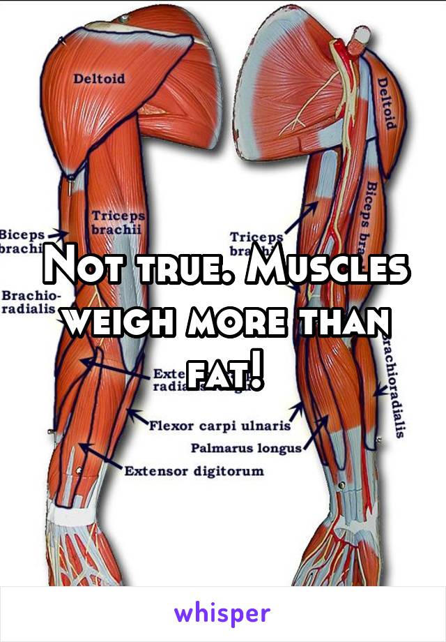 Not true. Muscles weigh more than fat!