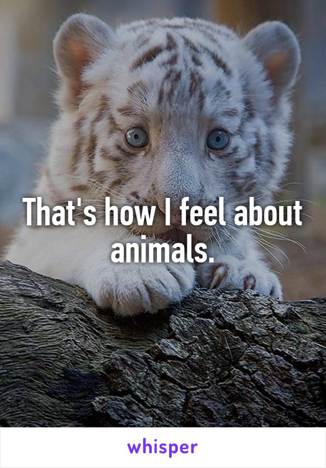 That's how I feel about animals.