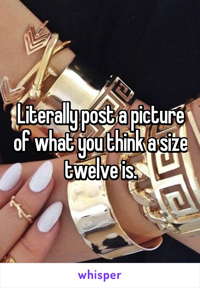 Literally post a picture of what you think a size twelve is.