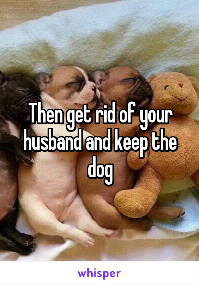 Then get rid of your husband and keep the dog