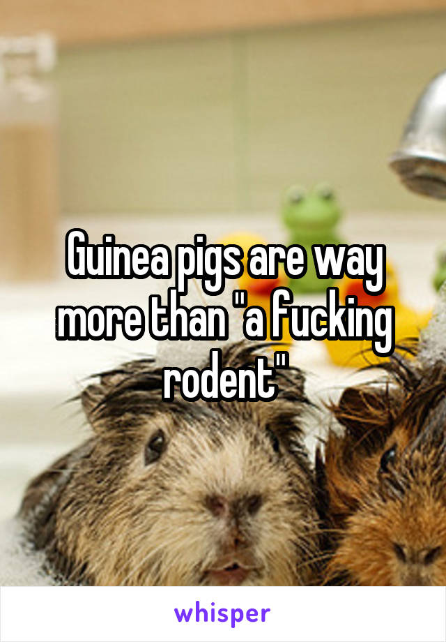 Guinea pigs are way more than "a fucking rodent"