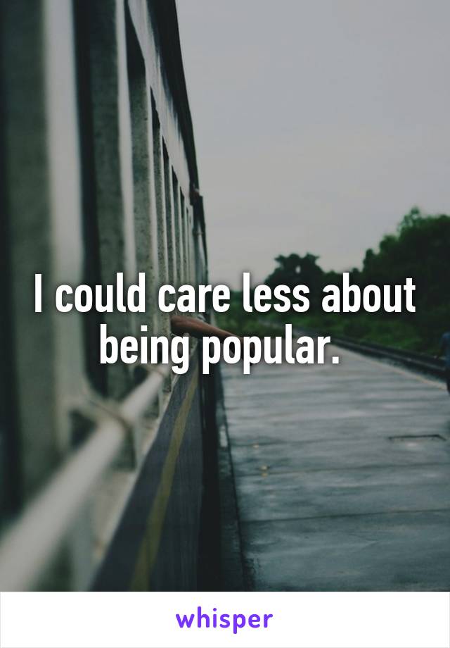 I could care less about being popular. 