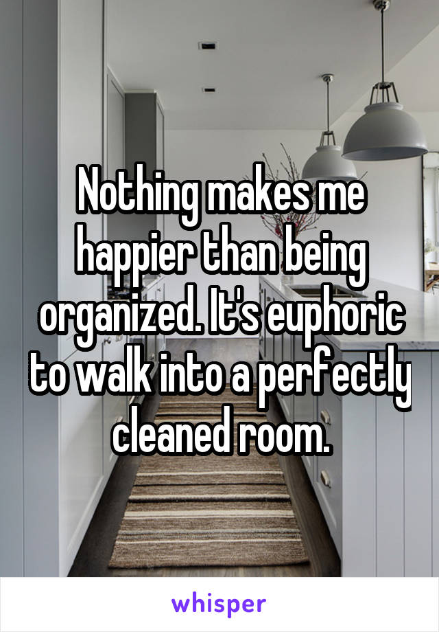 Nothing makes me happier than being organized. It's euphoric to walk into a perfectly cleaned room.