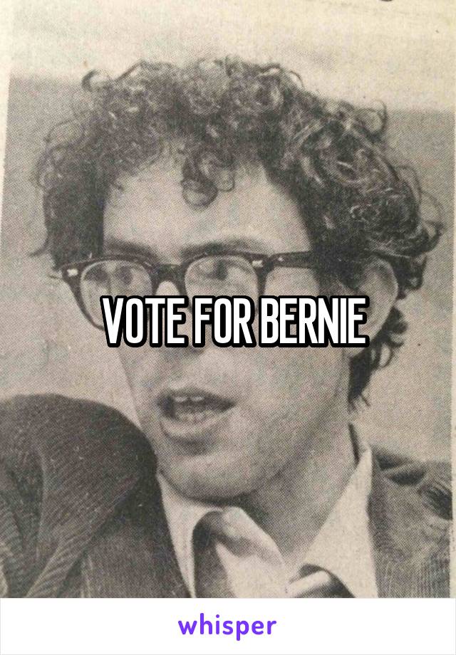  VOTE FOR BERNIE