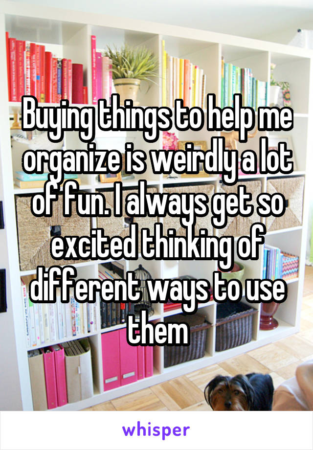 Buying things to help me organize is weirdly a lot of fun. I always get so excited thinking of different ways to use them