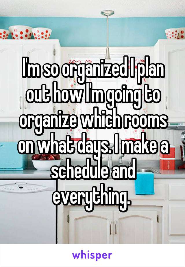 I'm so organized I plan out how I'm going to organize which rooms on what days. I make a schedule and everything. 