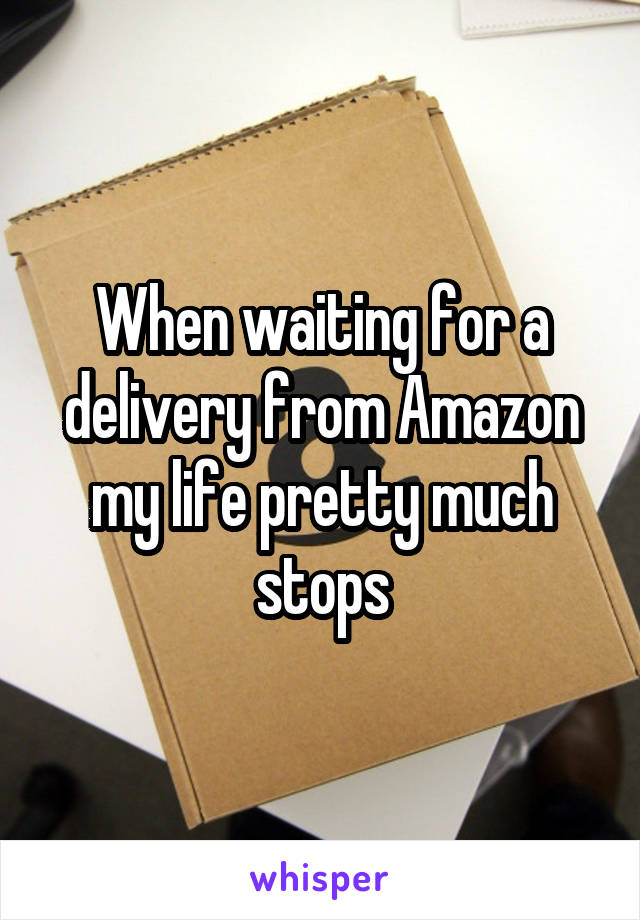 When waiting for a delivery from Amazon my life pretty much stops