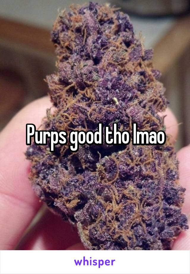 Purps good tho lmao