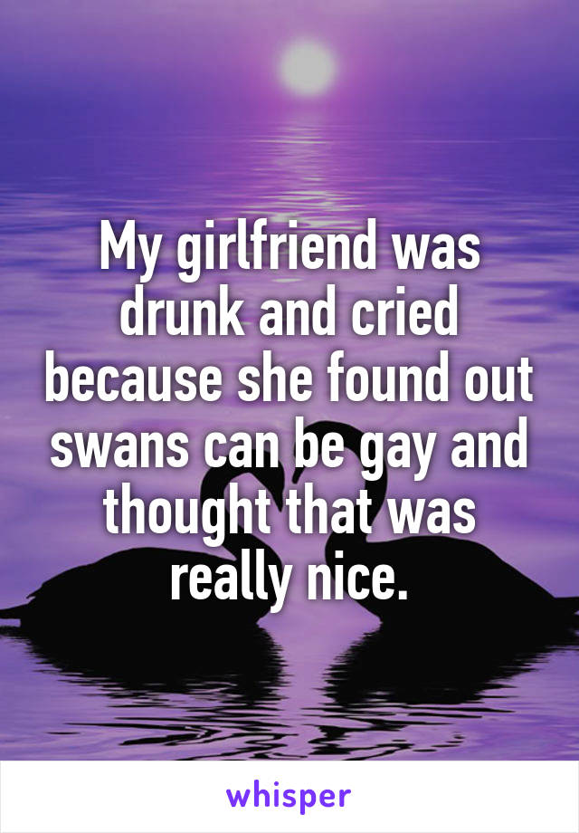 My girlfriend was drunk and cried because she found out swans can be gay and thought that was really nice.