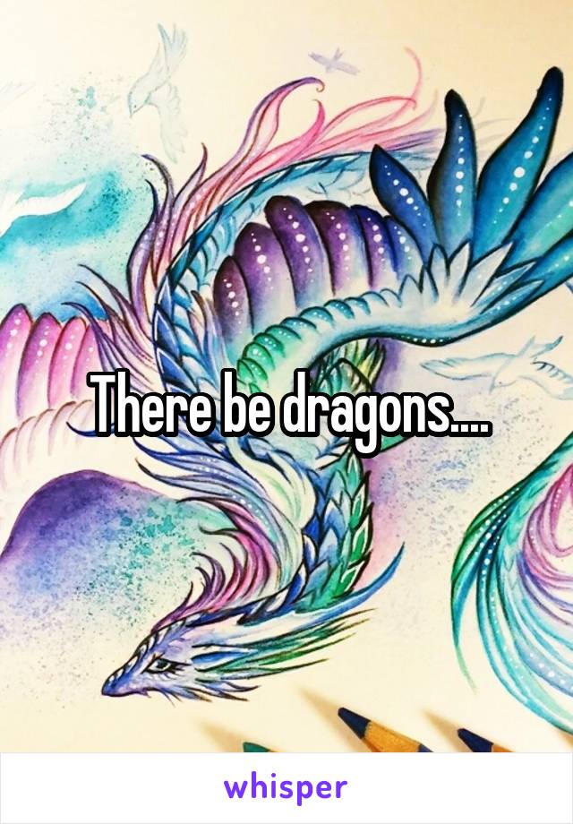 There be dragons....