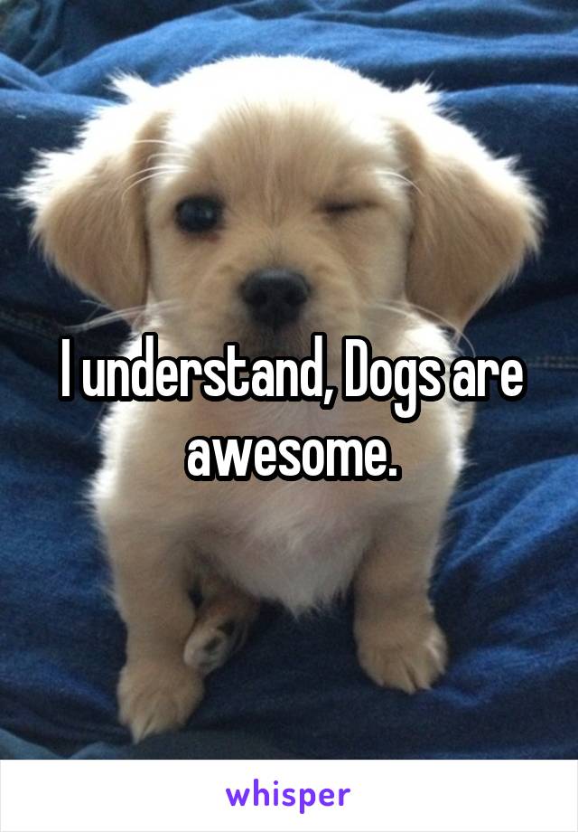 I understand, Dogs are awesome.