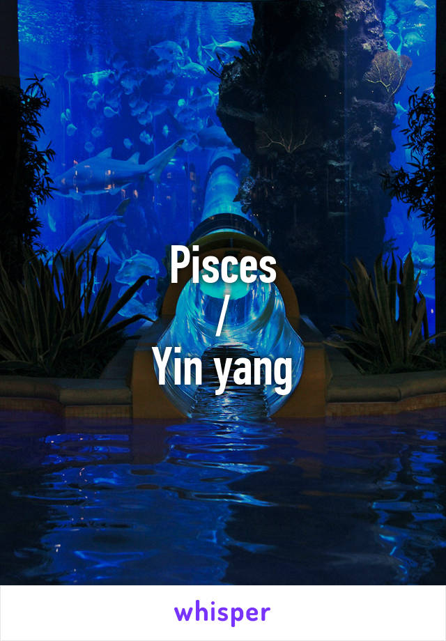 Pisces
/
Yin yang