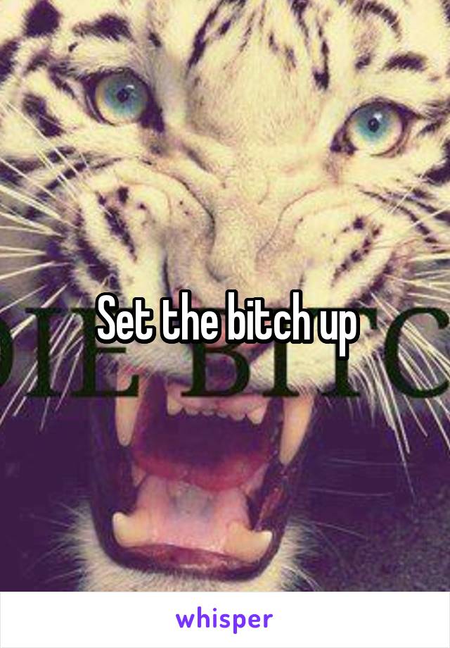 Set the bitch up