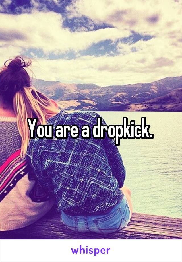 You are a dropkick. 