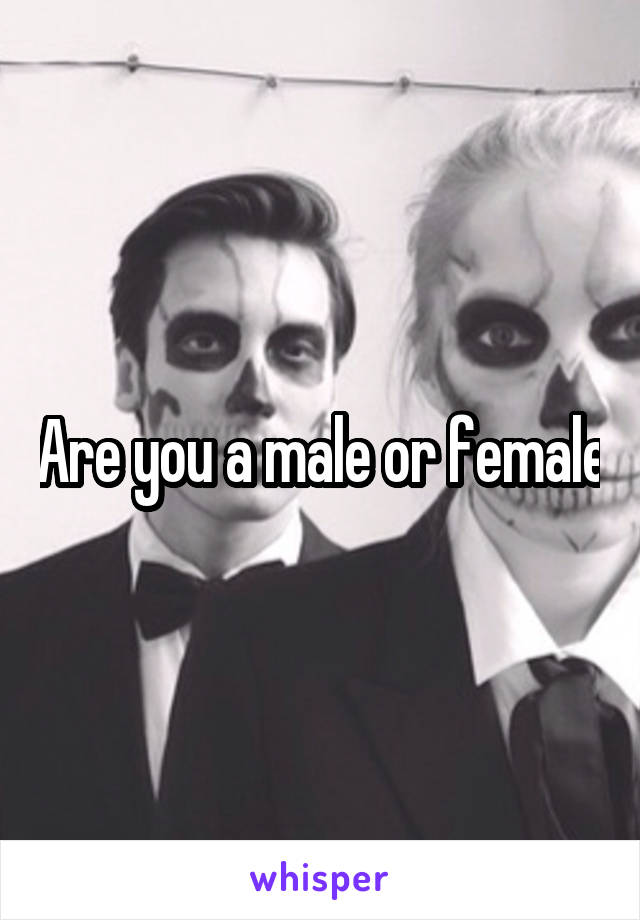 Are you a male or female