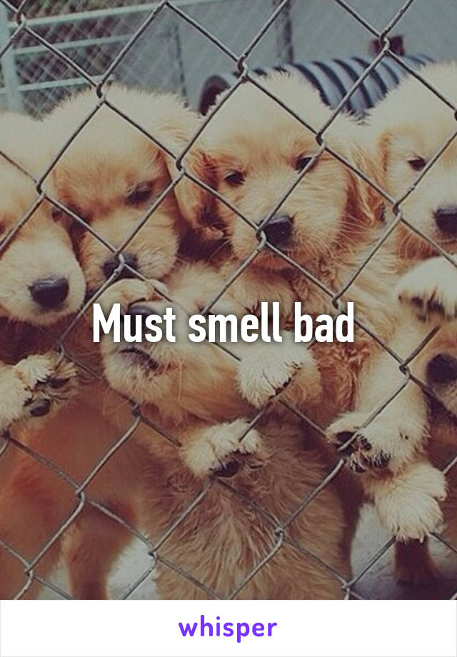 Must smell bad 