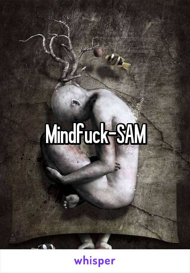 Mindfuck-SAM