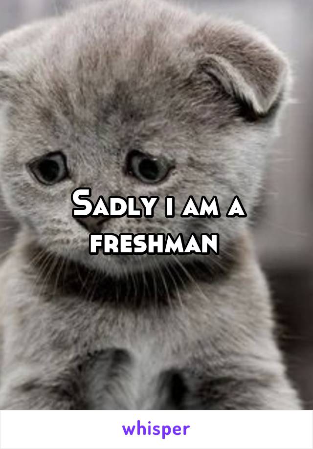 Sadly i am a freshman 