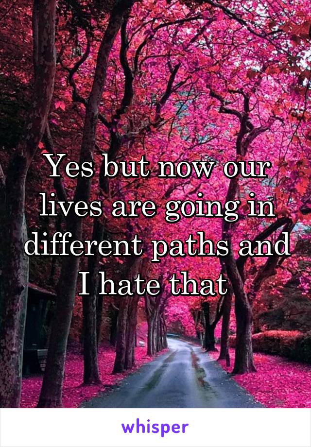 Yes but now our lives are going in different paths and I hate that 