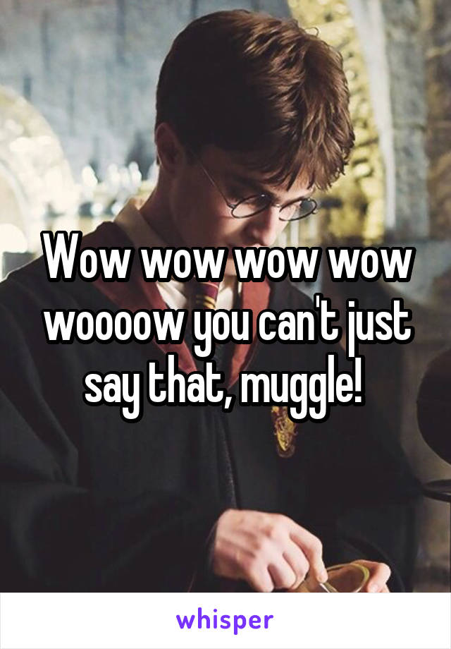 Wow wow wow wow woooow you can't just say that, muggle! 