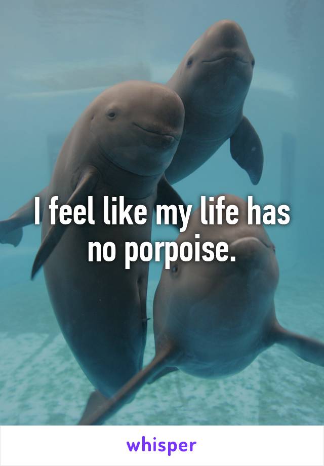 I feel like my life has no porpoise.