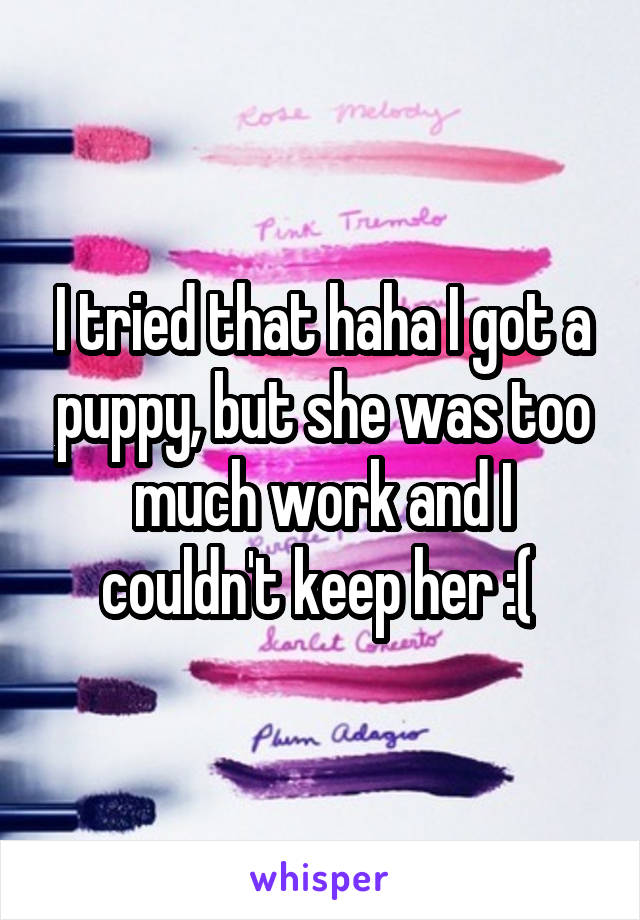 I tried that haha I got a puppy, but she was too much work and I couldn't keep her :( 