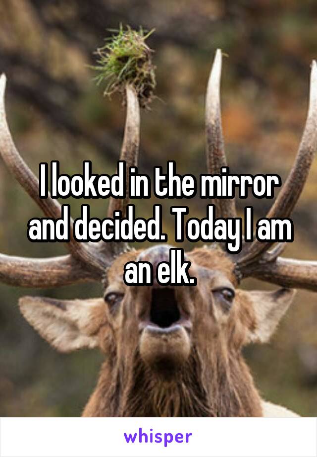 I looked in the mirror and decided. Today I am an elk.